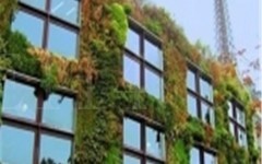 厦门城市立体绿化定制
